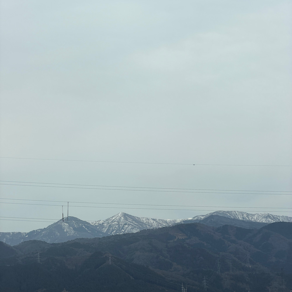 画像の説明